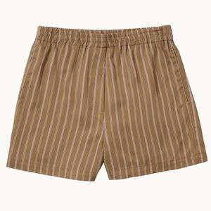 WYETH Newport Striped Shorts Brown Pink Size XS